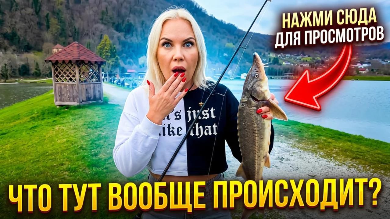 Сколько стоит такой отдых в Сочи? Проверили сами