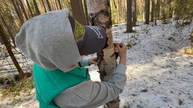 Лучше чем дома.