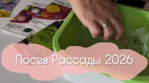 Посев Рассады 2026