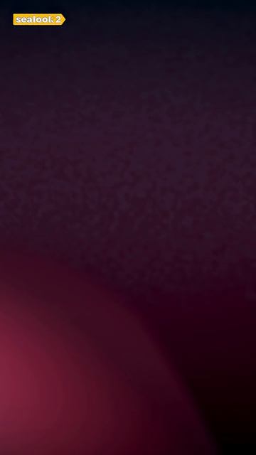 Морские Котики У тебя что-то в зубах