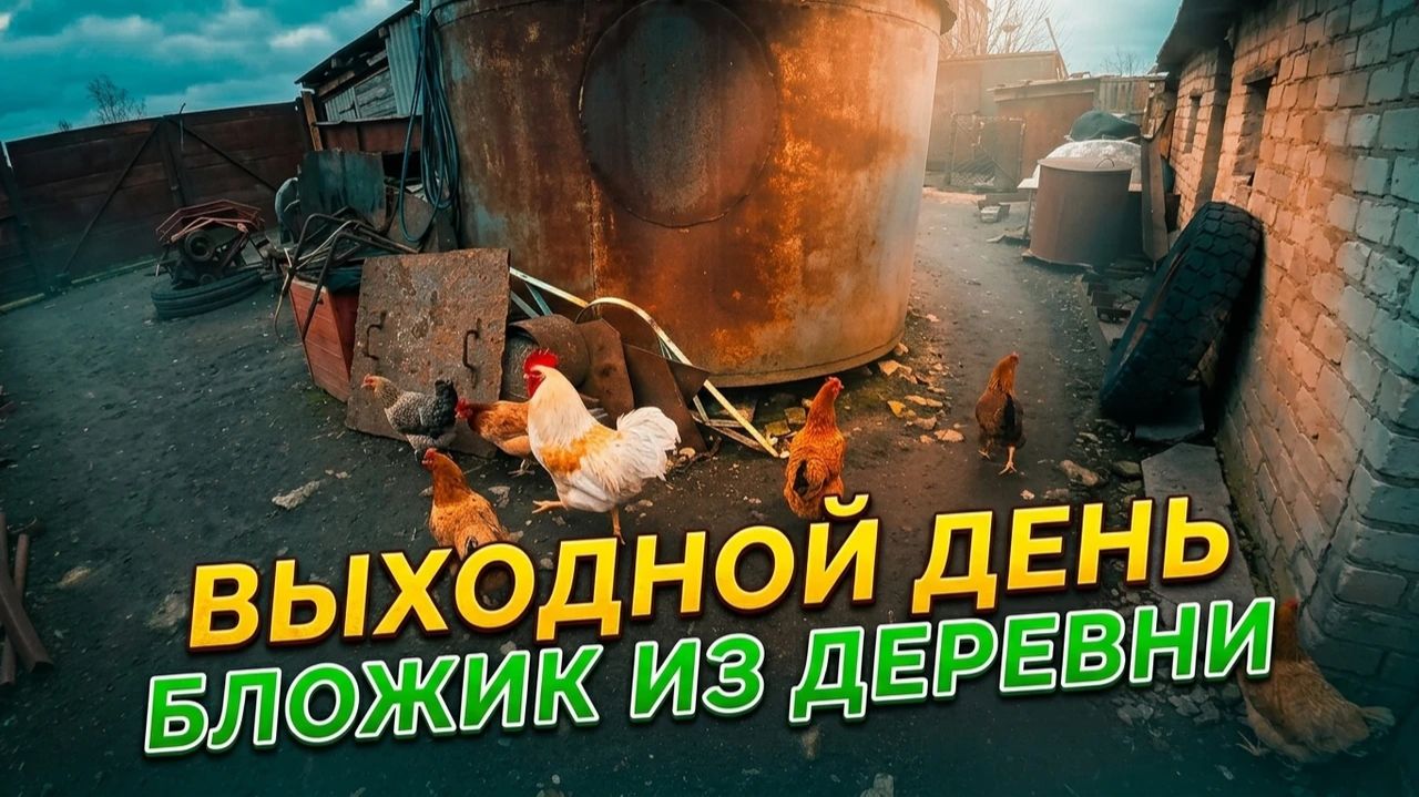 Выходной в деревне