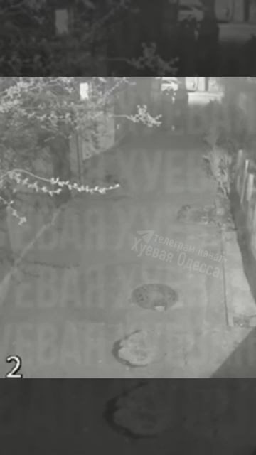 В Одессе тцкшники стаей догнали и избили 16-летнего парня.