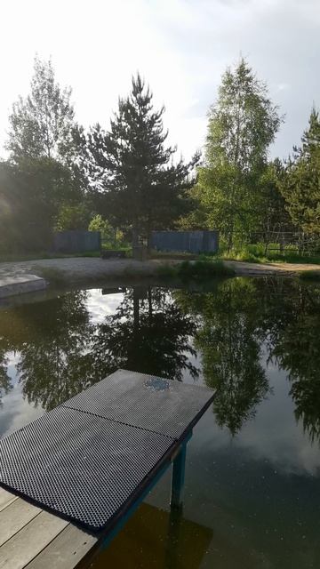 Свой пруд на участке, видео 2024 года. Новые видео, будут уже скоро. 😃🤗