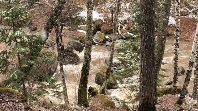 БЕЛОКУРИХА. ГОРНАЯ РЕЧКА