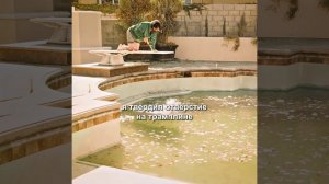 краткий пересказ фильма