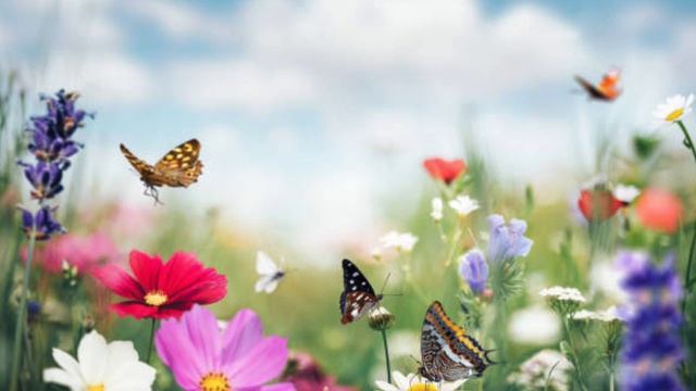 Питание. Польза и вред .