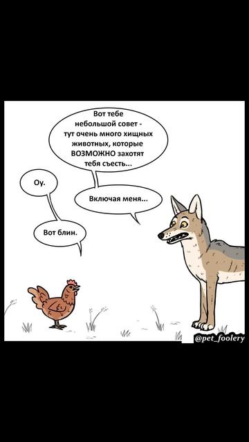 Лютые мемы. Поцелуй с котиком