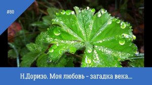 Н. Доризо.  Моя любовь - загадка века...