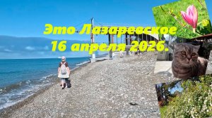 Это Лазаревское . 16 апреля 2026. Большая прогулка.