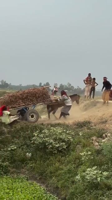 Дикие люди 🙄