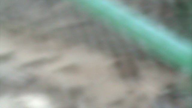 90)ГЕЛЕНЖИК САФАРИ ПАРК(2015 ГОД)