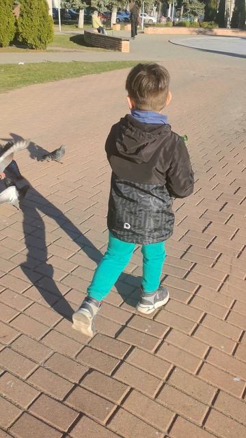 Малыш и голуби