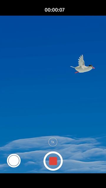 Морские Котики Угадай кто вернулся