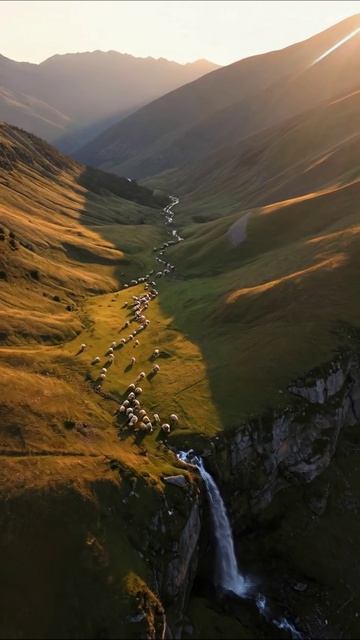 Величие горного пейзажа с водопадом и овцами горныйландшафт природа водопад