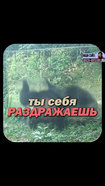 Мир сошёл с ума из за смартфона Арсен Маркарян #арсенмаркарян