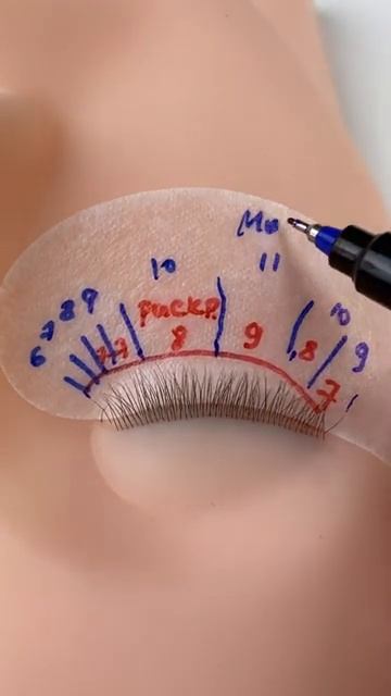 Построение схемы мокрого эффекта