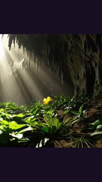 открывай идеи вдохновение приключения