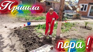 Ейск ! Распланировали отопление и душевую комнаты, пришла пора благоустройство двора и о разном !