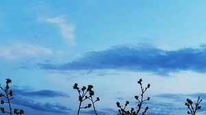 Нужно косить,хвалюсь мятой!Не было видео-проблемы со светом в Херсонской области