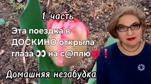 1 часть. Эта поездка в ДОСКИНО открыла глаза 👀 на с@плю💯❗️
