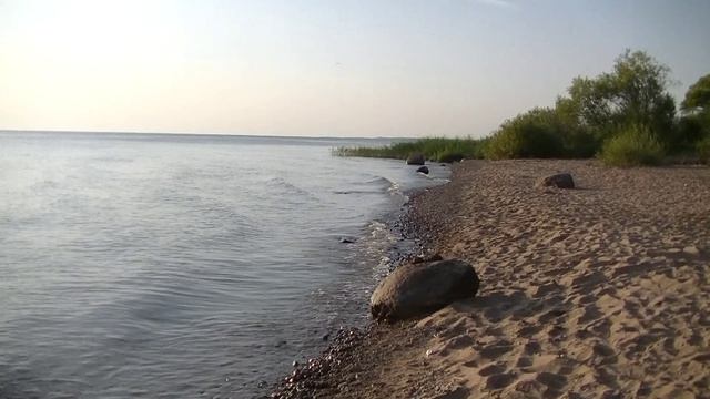 vatravel.ru На Чудском озере у д. Полично и Синьковщина (Псковская обл)