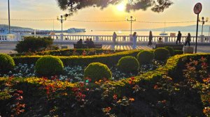 ГЕЛЕНДЖИК! РЕАЛЬНАЯ ОБСТАНОВКА на КУРОРТЕ! ПОКАЗЫВАЮ ПРАВДУ