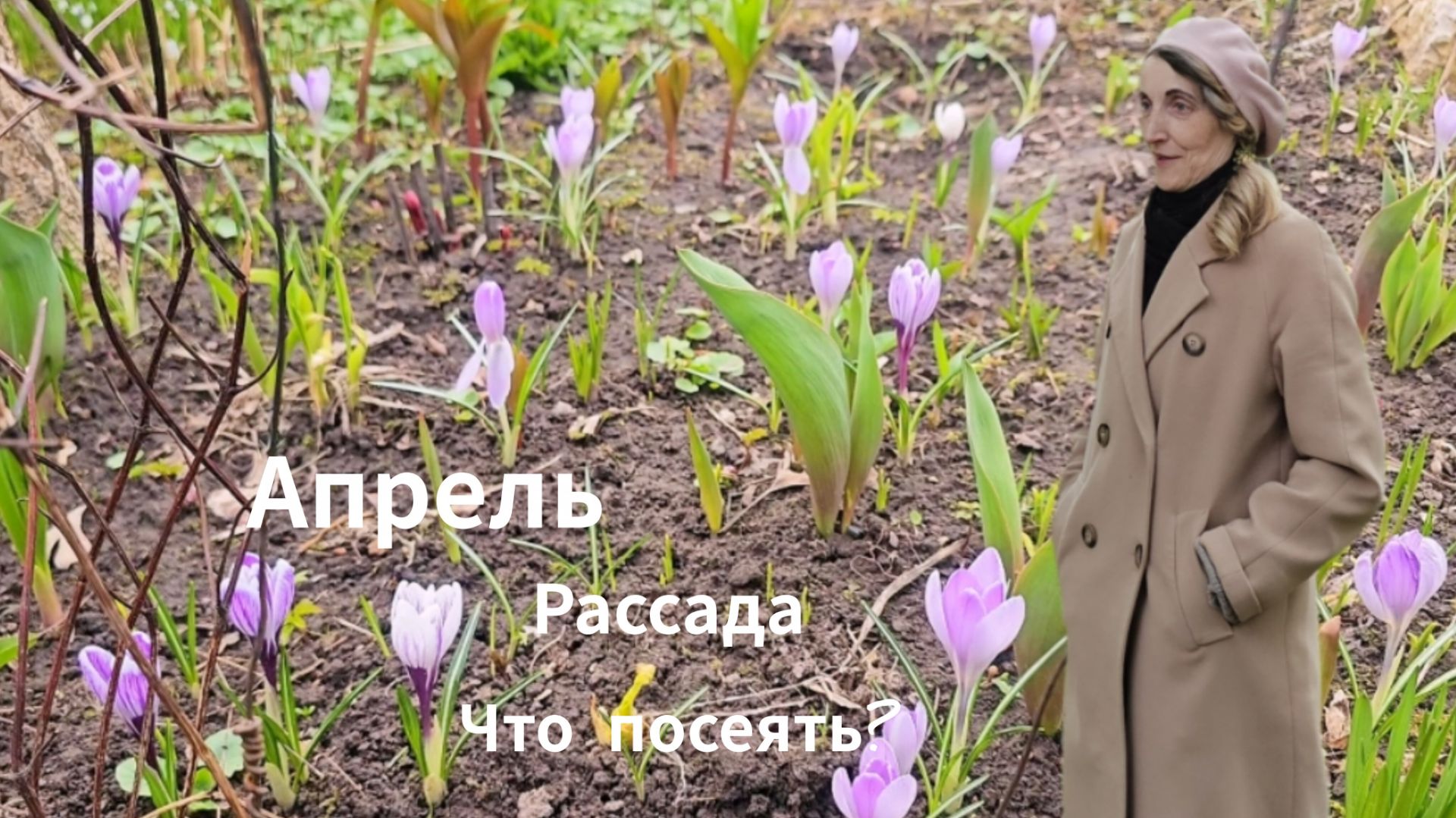 На даче Рассада Посевы в теплице