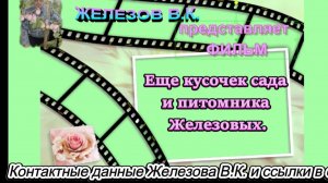 Еще кусочек сада и питомника Железовых.