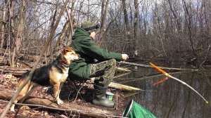 У ЭТОЙ КОРЯГИ СОБРАЛАСЬ ВСЯ РЫБА! РЫБАЛКА НА ПОПЛАВОК ПЕРО.