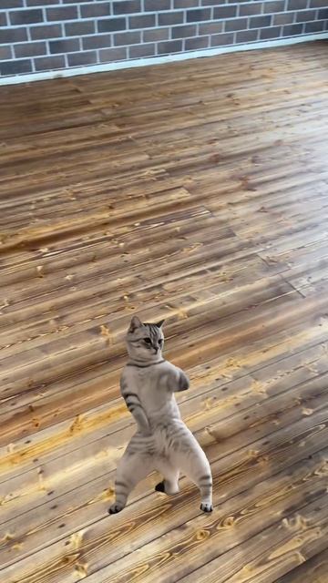 v1c044g50000d7gr957og65mlenmr56g