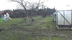 Дачный сезон начался. Всех с   С Пасхой