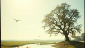 Видеоклип на песню Пой дорога Пой