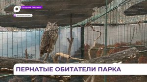 День птиц пройдёт в Приморском сафари-парке 19 апреля