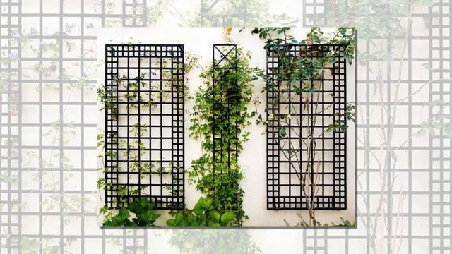 Шпалеры на стену своими руками: идеи для дачи.