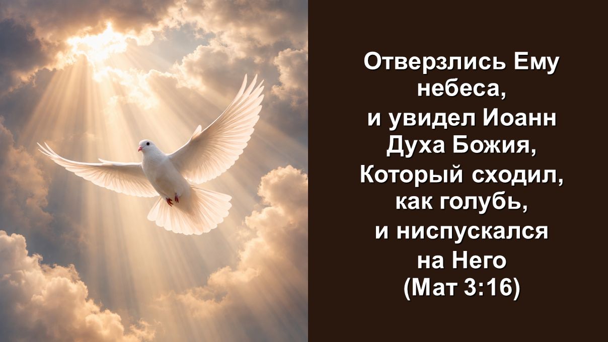 Отверзлись Ему небеса, и увидел Иоанн Духа Божия, Который сходил как голубь, и нипускался на Него