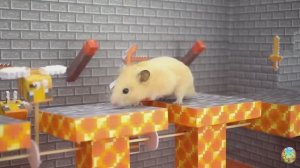 Приключение хомячка в красочном лабиринте - миссия: убежать от плохих игрушек! часть 7