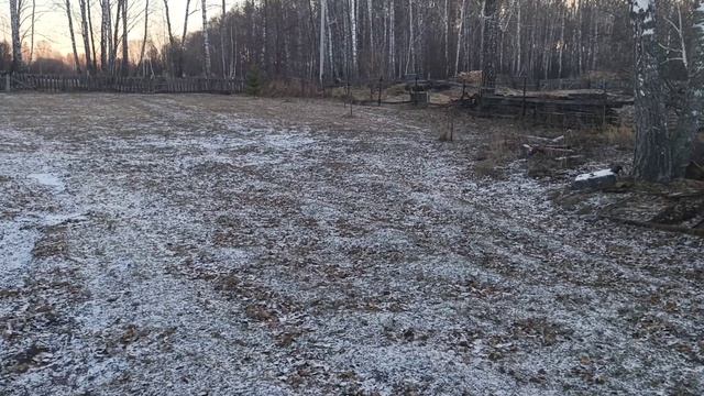 Жизнь в деревне Неожиданно вернулись морозы Смородина даже подмерзла