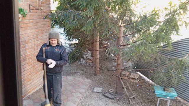 с добрым утром зверята