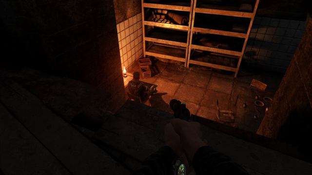 Metro: Last Light 