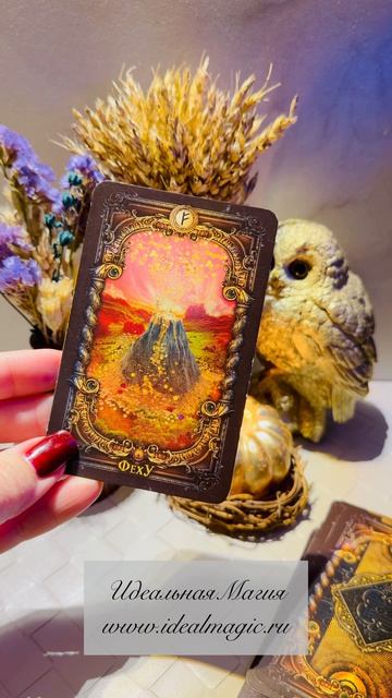 Прогноз на сегодня 🍀