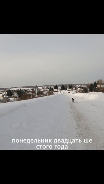 Бег от зимы к лету