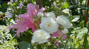 Август в Саду 14 августа 2025 часть 7