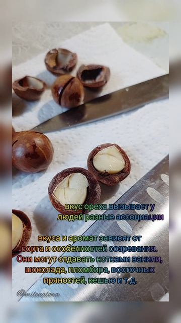 Королевский орех Макадамия  вкус и польза 