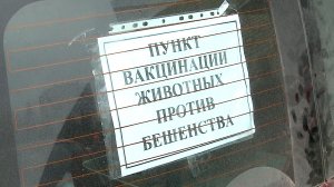 (Рыбинск-40) ВЫЕЗДНЫЕ ВАКЦИНАЦИИ ОТ БЕШЕНСТВА