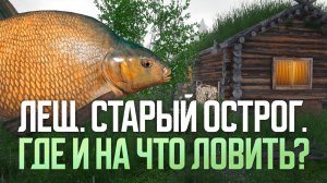 350-450 серебра за ночь. Лещ. Старый Острог ● Русская рыбалка 4 ● Перчик РР4