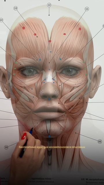 Ботокс FULLFACE