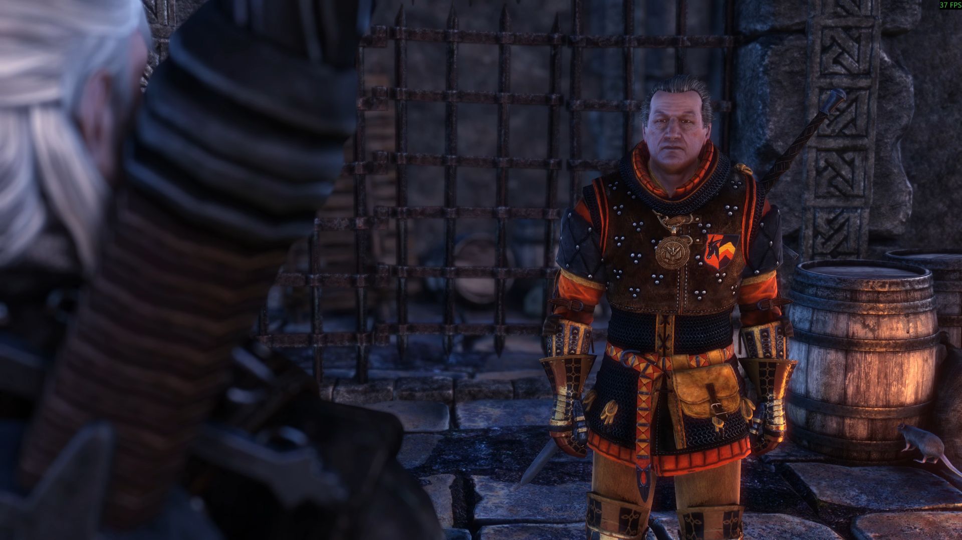 Ведьмак 2: Убийцы королей - серия 24 - Врата рая