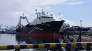 ПОМОЩЬ СУДОРЕМОНТНИКАМ