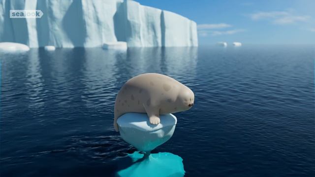 Морские Котики (SEALOOK) (96)