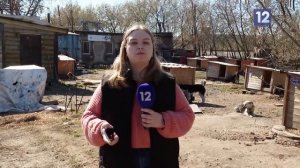 ЭСТАФЕТА ДОБРА